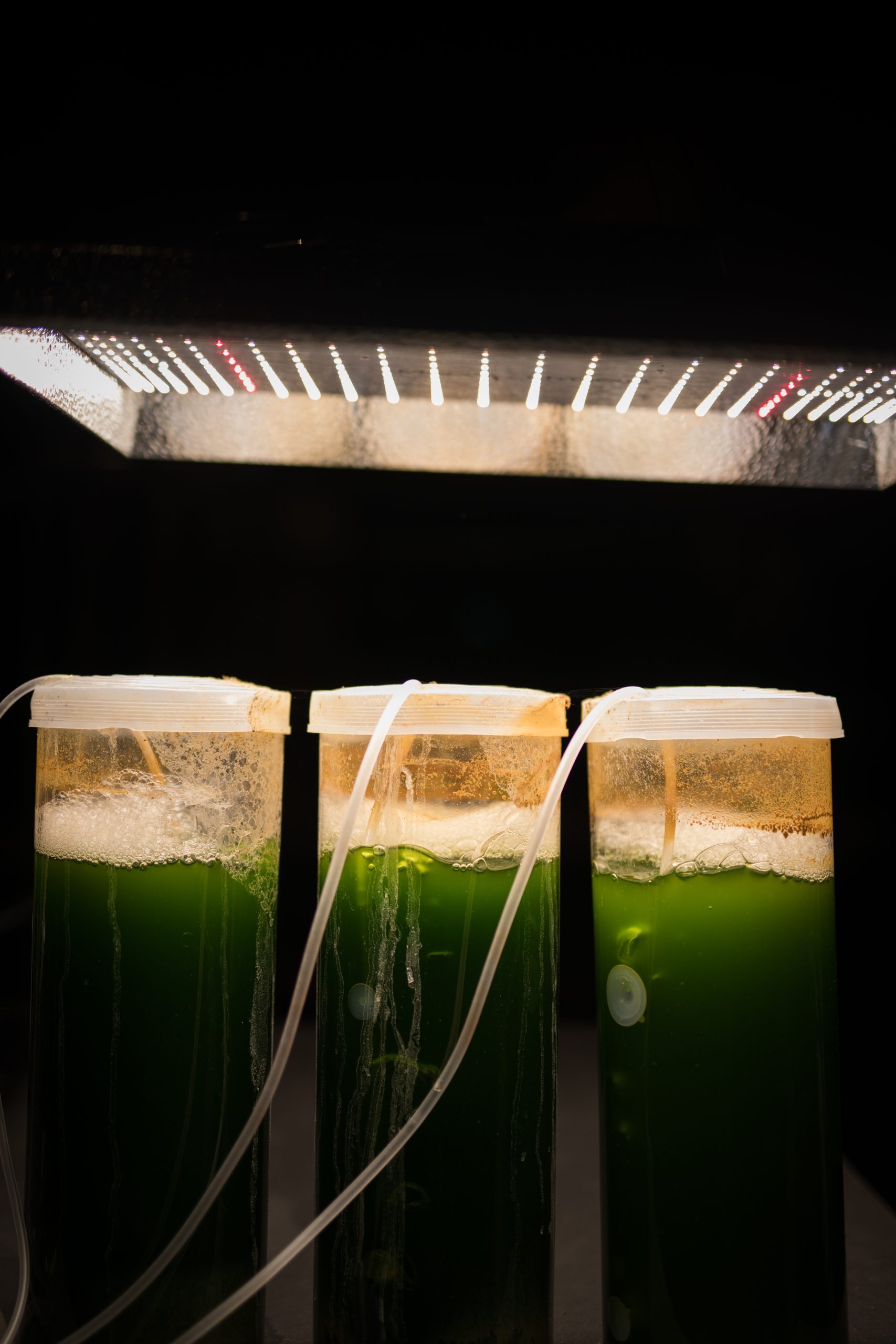 testing-2026-01-08-05-52-38-utc